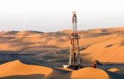 SISTEMA DE PRODUCCIÓN DE PETRÓLEO DE ELEVACIÓN FORZADA DE GAS