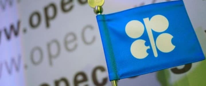 En el informe de este mes, la OPEP revisó a la baja su estimación para 2021 debido a datos reales inferiores a los esperados para los primeros tres trimestres del año.