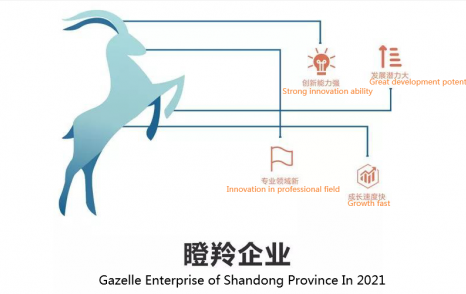 Weima Pump fue galardonada como la empresa Gazelle de la provincia de Shandong en 2021