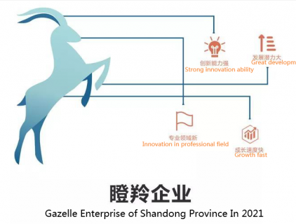 Weima Pump fue galardonada como la empresa Gazelle de la provincia de Shandong en 2021